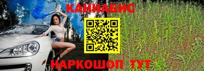 соль ск Будённовск