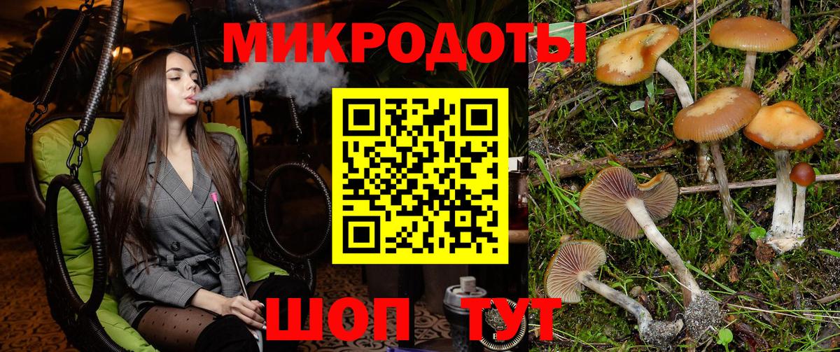 Псилоцибиновые грибы мицелий Славгород