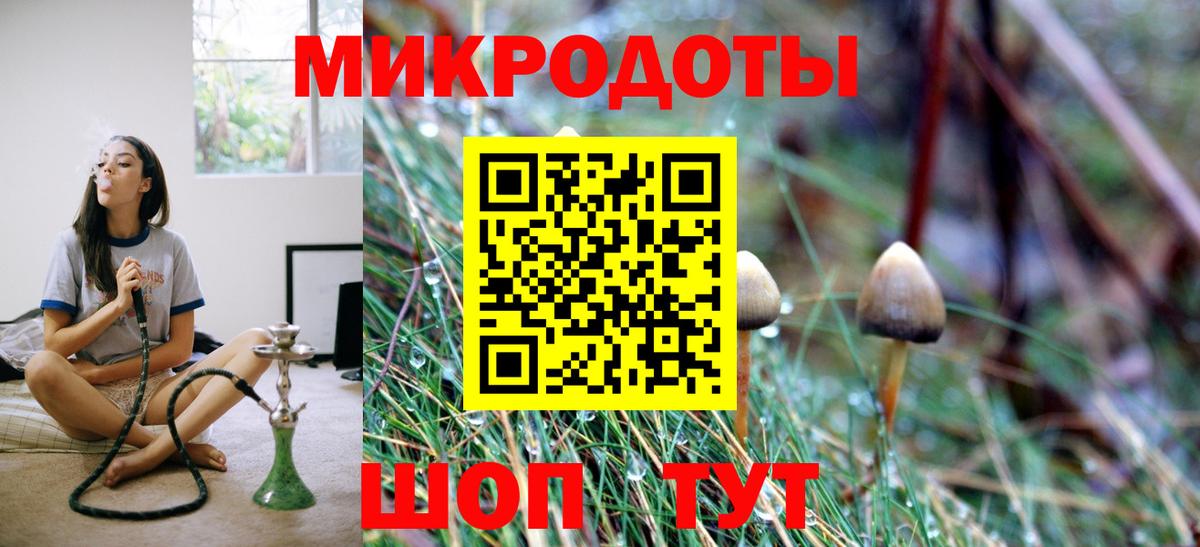 Славгород  Псилоцибиновые грибы Magic Shrooms  Вход с VPN 
